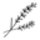 Landseife Manufaktur Coupon Codes